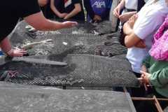 IMG-20250526-WA0006