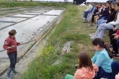 IMG-20250526-WA0008