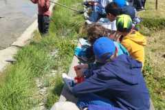 IMG-20250527-WA00052