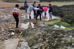IMG-20250528-WA0001